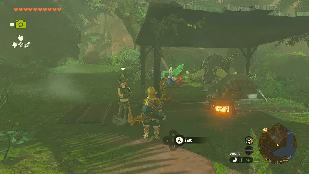 the-beast-and-the-princess-unraveling-zelda-s-dondon-mystery-image-2